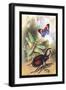 Butterfly, Dragonfly, and Beetles-James Duncan-Framed Art Print