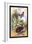 Butterfly, Dragonfly, and Beetles-James Duncan-Framed Art Print