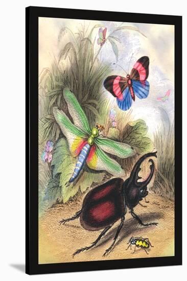 Butterfly, Dragonfly, and Beetles-James Duncan-Stretched Canvas