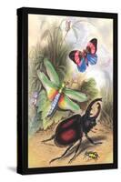 Butterfly, Dragonfly, and Beetles-James Duncan-Stretched Canvas