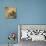 Butterfly Dreams Pomeranian-Jai Johnson-Premium Giclee Print displayed on a wall