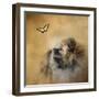 Butterfly Dreams Pomeranian-Jai Johnson-Framed Premium Giclee Print