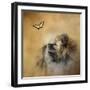 Butterfly Dreams Pomeranian-Jai Johnson-Framed Premium Giclee Print