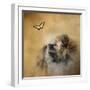 Butterfly Dreams Pomeranian-Jai Johnson-Framed Premium Giclee Print