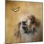 Butterfly Dreams Pomeranian-Jai Johnson-Mounted Premium Giclee Print