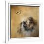 Butterfly Dreams Pomeranian-Jai Johnson-Framed Giclee Print