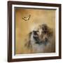 Butterfly Dreams Pomeranian-Jai Johnson-Framed Giclee Print