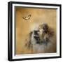 Butterfly Dreams Pomeranian-Jai Johnson-Framed Giclee Print