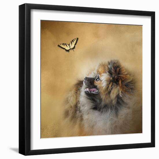 Butterfly Dreams Pomeranian-Jai Johnson-Framed Giclee Print