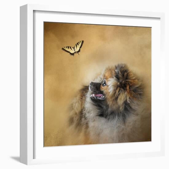 Butterfly Dreams Pomeranian-Jai Johnson-Framed Giclee Print