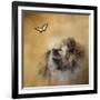 Butterfly Dreams Pomeranian-Jai Johnson-Framed Giclee Print