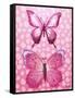 Butterfly Duo in Pink-Elizabeth Medley-Framed Stretched Canvas