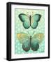 Butterfly Duo in Teal-Elizabeth Medley-Framed Art Print