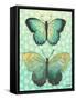 Butterfly Duo in Teal-Elizabeth Medley-Framed Stretched Canvas