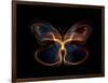 Butterfly Element-agsandrew-Framed Art Print