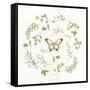 Butterfly Enchantment II-null-Framed Stretched Canvas