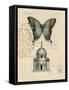 Butterfly Etching-Chad Barrett-Framed Stretched Canvas