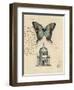 Butterfly Etching-Chad Barrett-Framed Art Print