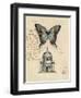 Butterfly Etching-Chad Barrett-Framed Art Print