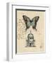 Butterfly Etching-Chad Barrett-Framed Art Print