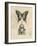 Butterfly Etching-Chad Barrett-Framed Art Print