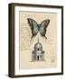 Butterfly Etching-Chad Barrett-Framed Art Print