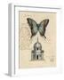 Butterfly Etching-Chad Barrett-Framed Art Print