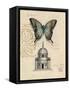 Butterfly Etching-Chad Barrett-Framed Stretched Canvas