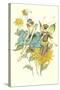 Butterfly Fairies Courting-null-Stretched Canvas