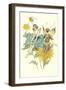 Butterfly Fairies Courting-null-Framed Art Print