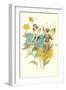 Butterfly Fairies Courting-null-Framed Art Print