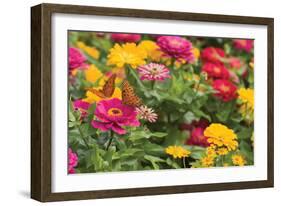 Butterfly Field II-Karyn Millet-Framed Photographic Print