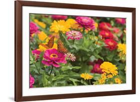 Butterfly Field II-Karyn Millet-Framed Photographic Print