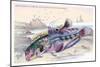 Butterfly Fish and Gattoruginous Blenny-Robert Hamilton-Mounted Art Print