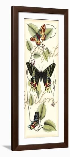 Butterfly Flight II-Vision Studio-Framed Premium Giclee Print