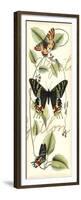 Butterfly Flight II-Vision Studio-Framed Premium Giclee Print