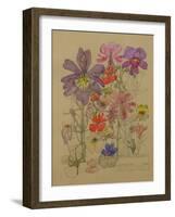 Butterfly Flower, Bowling, 1912-Charles Rennie Mackintosh-Framed Giclee Print