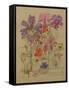 Butterfly Flower, Bowling, 1912-Charles Rennie Mackintosh-Framed Stretched Canvas