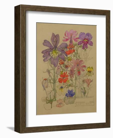 Butterfly Flower, Bowling, 1912-Charles Rennie Mackintosh-Framed Giclee Print