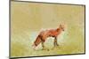 Butterfly Fox-Claire Westwood-Mounted Art Print