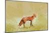 Butterfly Fox-Claire Westwood-Mounted Art Print