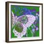 Butterfly Frenzey-Ricki Mountain-Framed Art Print