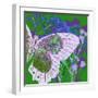 Butterfly Frenzey-Ricki Mountain-Framed Art Print