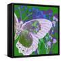 Butterfly Frenzey-Ricki Mountain-Framed Stretched Canvas