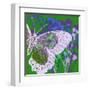 Butterfly Frenzey-Ricki Mountain-Framed Art Print