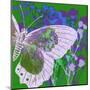 Butterfly Frenzey-Ricki Mountain-Mounted Art Print