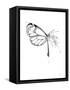 Butterfly Fuel-Alexis Marcou-Framed Stretched Canvas