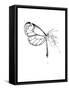 Butterfly Fuel-Alexis Marcou-Framed Stretched Canvas