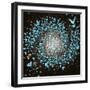 Butterfly Galaxy-Paula Belle Flores-Framed Art Print