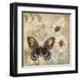 Butterfly Garden I-Conrad Knutsen-Framed Art Print